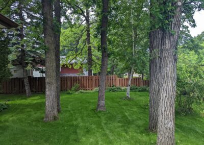 Backyard-After-2