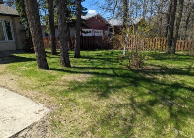 Backyard-Before (2)